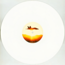 Website Images 3