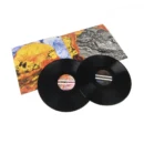 radiohead a moon shaped pool vinyl record