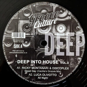 Ricky Montanari & Discoplex - Deep Into House Vol.3