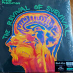 STONE FOUNDATION - THE REVIVAL OF SURVIVAL