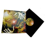 AMORPHOUS ANDROGYNOUSTHE - WORLD IS FULL OF PLANKTONTHE Vinyl Record