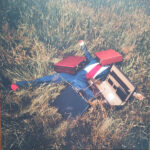 SHES IN PARTIES - ARE YOU DREAMING? (RED VINYL)