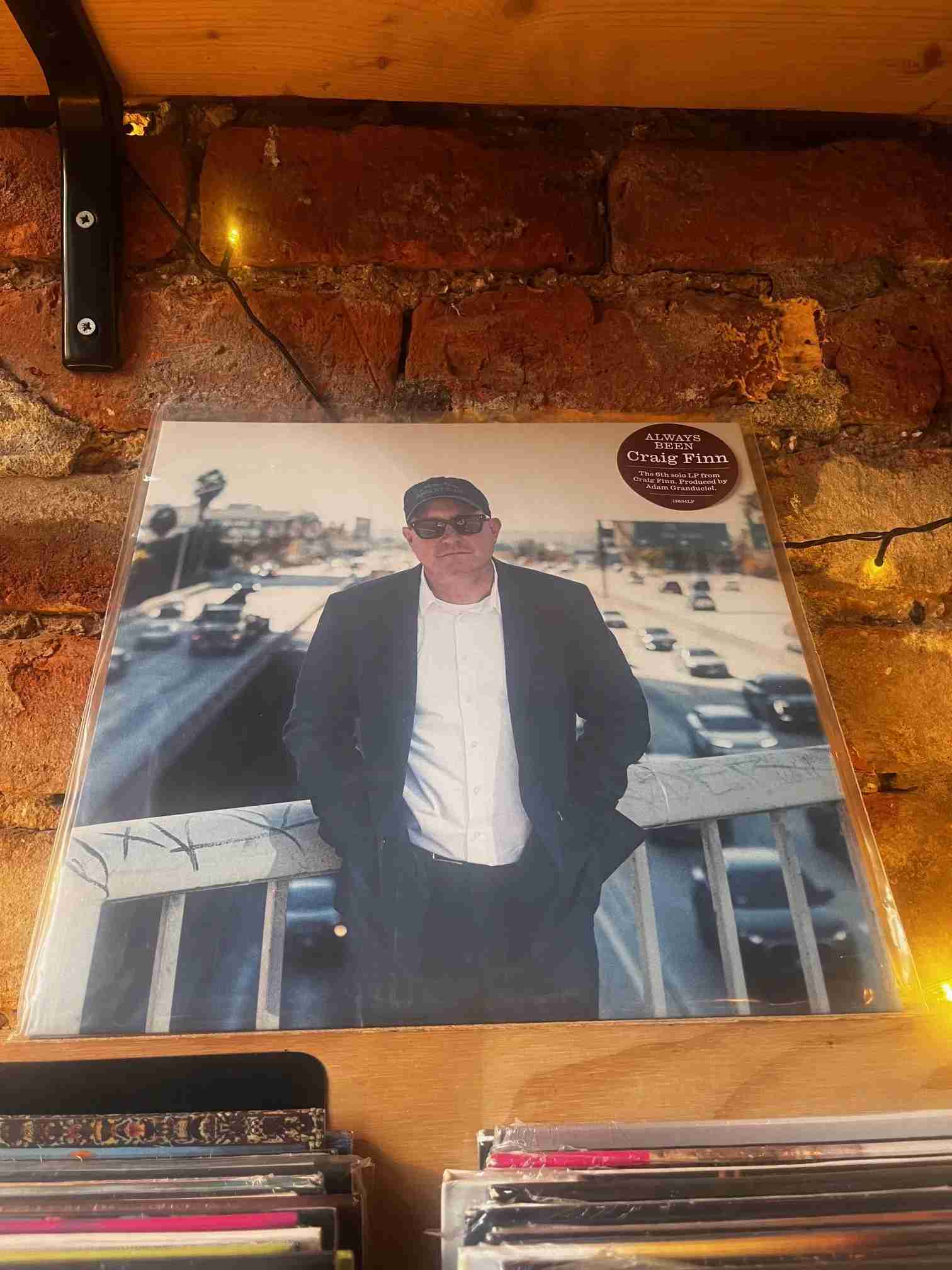 13634LP.jpg CRAIG FINN - ALWAYS BEEN Vinyl Record - Image 1