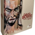 DAVID BOWIE - RSD 2022 - BRILLIANT ADVENTURE Vinyl Record