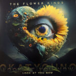 Flower Kings, The - Look At You Now
