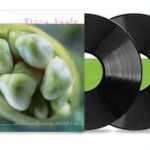 Fiona Apple - Extraordinary Machine Vinyl Record