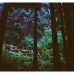 STEIN & MARI'S DAYDREAM COMMUN - STEIN & MARIS DA (180G VINYL)