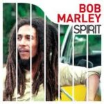 BOB MARLEY - SPIRIT OF BOB MARLEY Vinyl Record