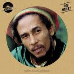 BOB MARLEY - VINYLART - BOB MARLEY Vinyl Record