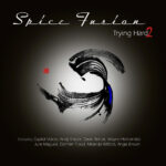 SPICE FUSION - TRYING HARD 2