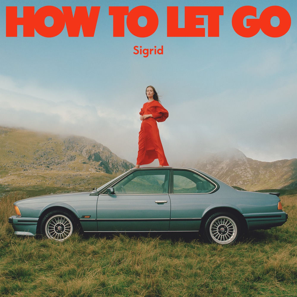 3576851.jpg SIGRID - How To Let Go - Image 1