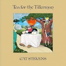 3594088.jpg Cat Stevens - Tea For The Tillerman Vinyl Record - Image 1