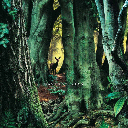 3876876.jpg Sylvian, David - Manafon (2LP/GF) - Image 1