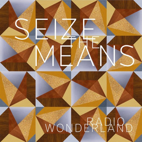 4389064.jpg RADIO WONDERLAND - Seize The Means - Image 1