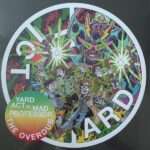 Yard Act Mad Professor - The Overdub