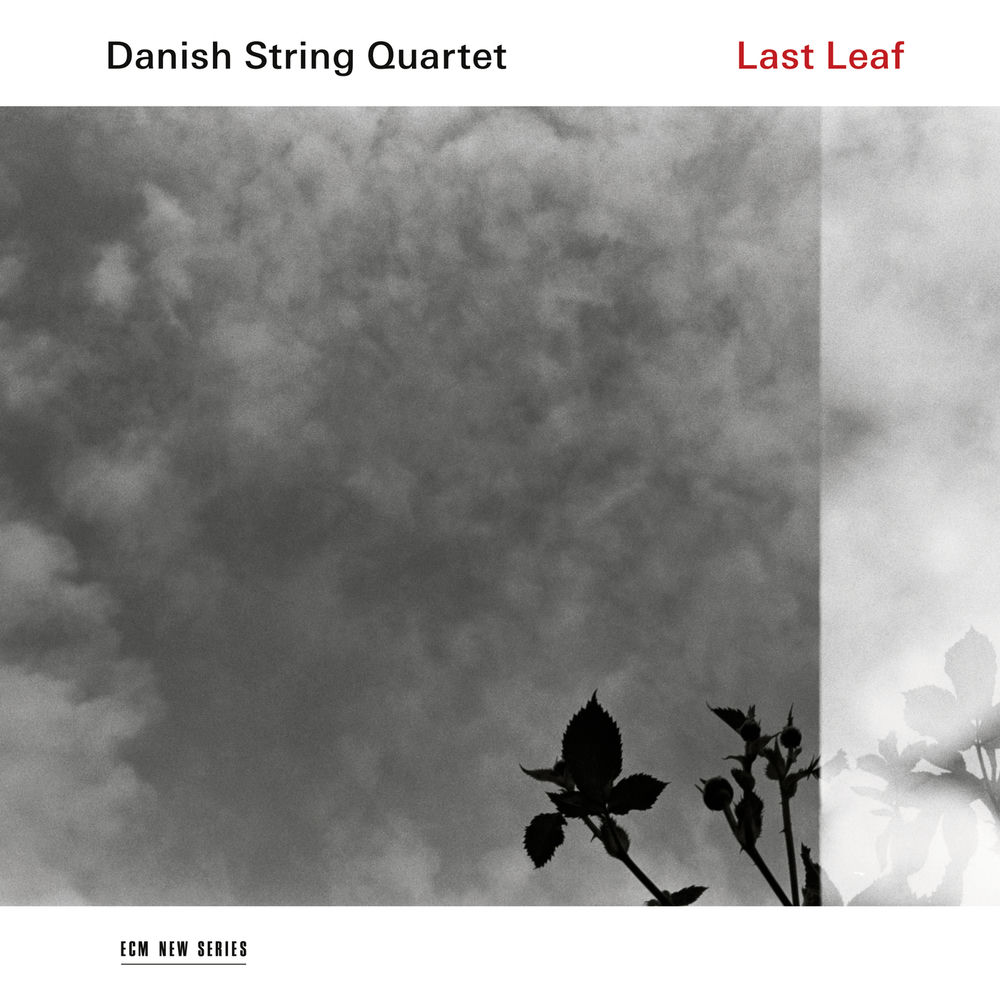 4816497.jpg DANISH STRING QUARTET - LAST LEAF - Image 1