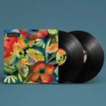 ADRIANNE LENKER - SONGS AND INSTRUMENTALS Vinyl Record
