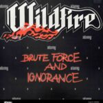 BRUTE HEART - WILDFIRE Vinyl Record