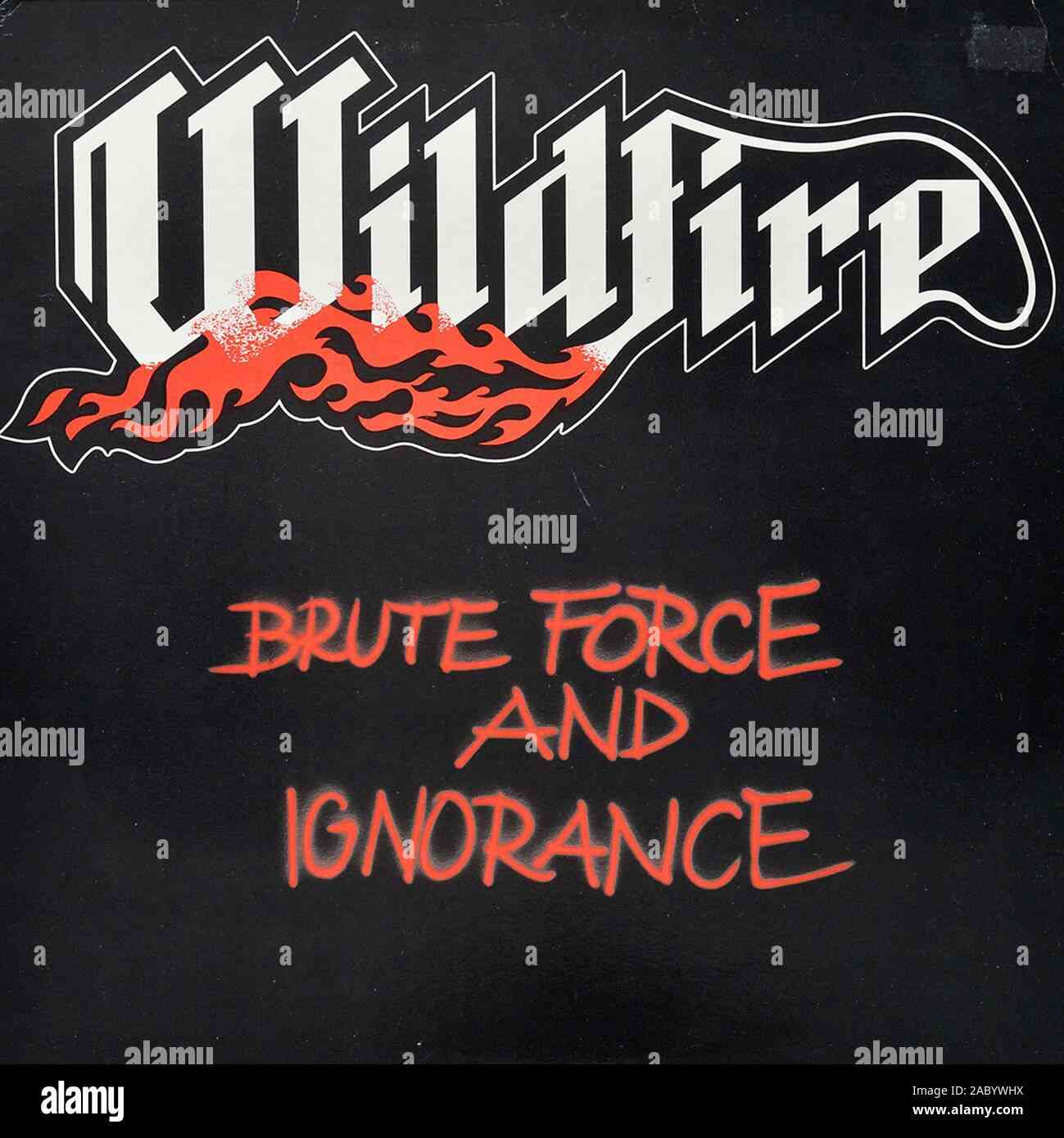5055300366252.jpg BRUTE HEART - WILDFIRE Vinyl Record - Image 1