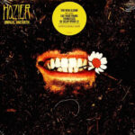Hozier - Unreal Unearth