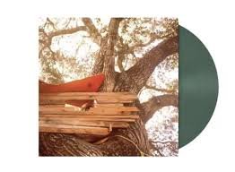 602448394422.jpg BACKSEAT LOVERS THE - WAITING TO SPILL (DARK GREEN) Vinyl Record - Image 1