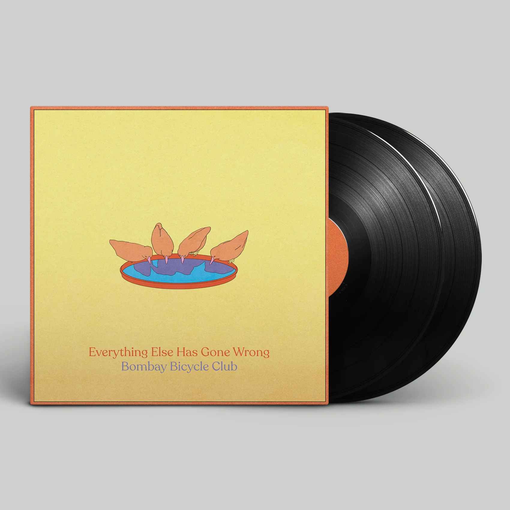 602508275999.jpg BOMBAY BICYCLE CLUB - EVERYTHING ELSE HAS Vinyl Record - Image 1