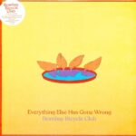 BOMBAY BICYCLE CLUB - EVERYTHING ELSE HAS GONE WRONG Vinyl Record