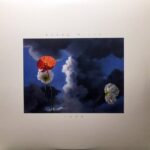 BLAKE MILLS - LOOK Vinyl Record