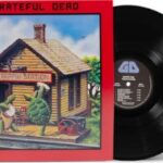 Grateful Dead - Terrapin Station (1LP) Vinyl Record