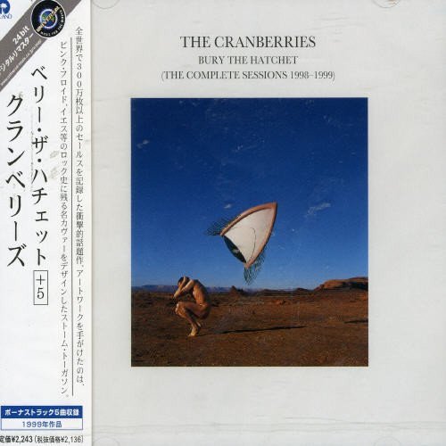 6505070.jpg CRANBERRIES - Bury The Hatchet (The Complete Sessions) Vinyl Record - Image 1