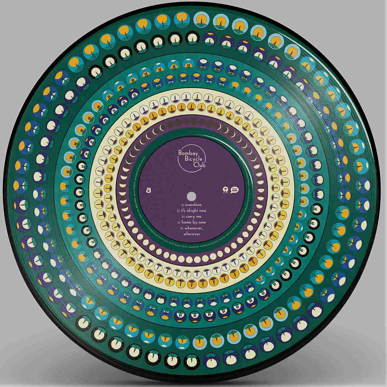 6588940.jpg BOMBAY BICYCLE CLUB - So Long. See You Tomorrow (10th Anniversary Edition) (Picture Disc) Vinyl Record - Image 1