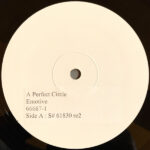 A PERFECT CIRCLE - Emotive