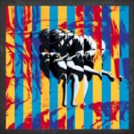 GUNS NROSES - USE YOUR ILLUSION (VINYL BOXSE Vinyl Record