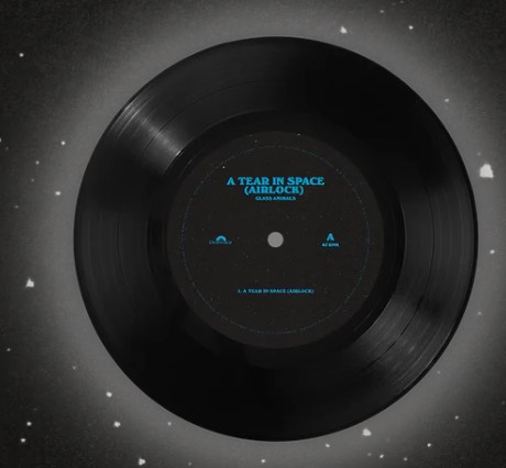 7-7.jpg Glass Animals - A Tear in Space Vinyl Record - Image 1