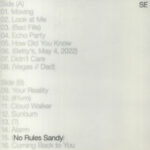 Sylvan Esso - No Rules Sandy