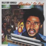 BILLY BOY ARNOLD - Checkin It Out (Green And Orange Splatter Vinyl) Vinyl Record