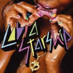 COBRA STARSHIP - Hot Mess (Silver Vinyl)
