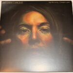 Brandi Carlile - By the Way, I Forgive You Vinyl Record