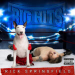 RICK SPRINGFIELD - Big Hits: Rick Springfields Greatest Hits Vol. 2 (Clear Vinyl)