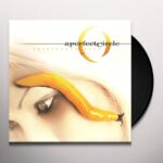 A PERFECT CIRCLE - Thirteenth Step Vinyl Record