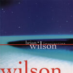 Brian Wilson - Imagination