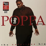 The Notorious B.I.G. - Big Poppa (Remix)