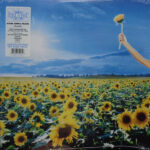 Stone Temple Pilots - Thank You (Opaque Sky Blue Vin