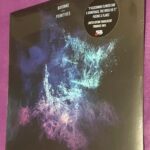 BAYONNE - PRIMITIVES Vinyl Record