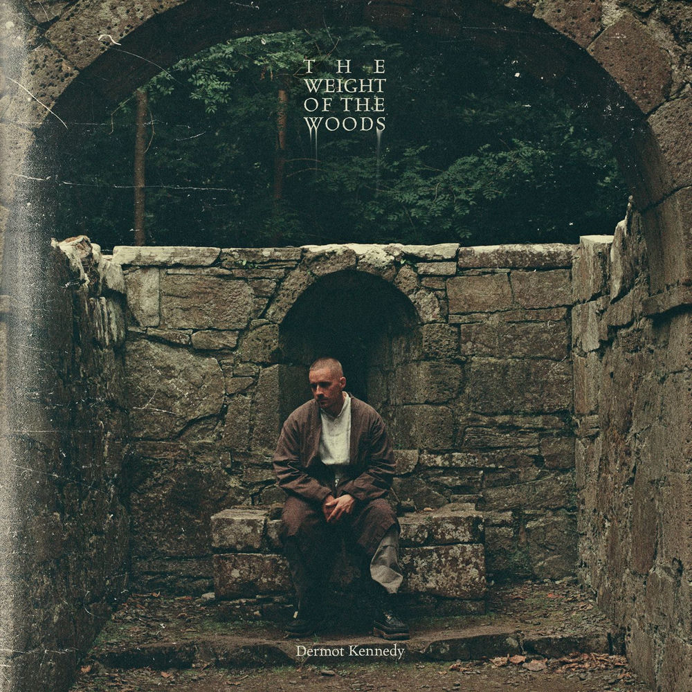 8809750.jpg Dermot Kennedy - The Weight of the Woods - Image 1