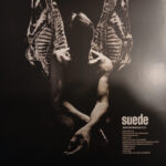 Suede - Antidepressants