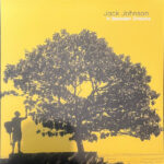 Jack Johnson - In Between Dreams