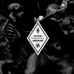 YOUNG AND IN THE WAY/WITHDRAWA - SPLIT 7