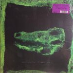 AVEY TARE - DOWN THERE Vinyl Record