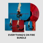 AS DECEMBER FALLS - Everythings On Fire But Im Fine Vinyl Record